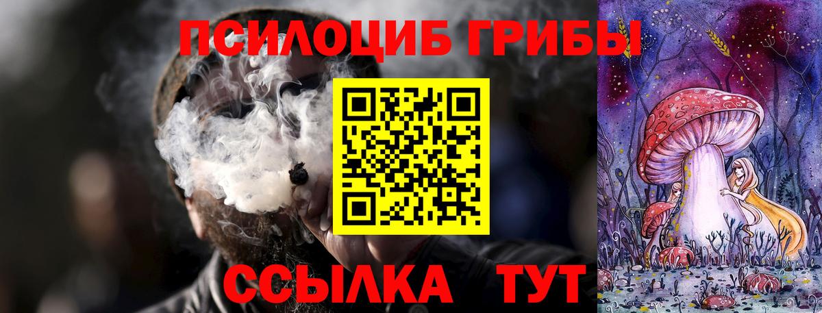Псилоцибиновые грибы прущие грибы  Вход с VPN  Махачкала 